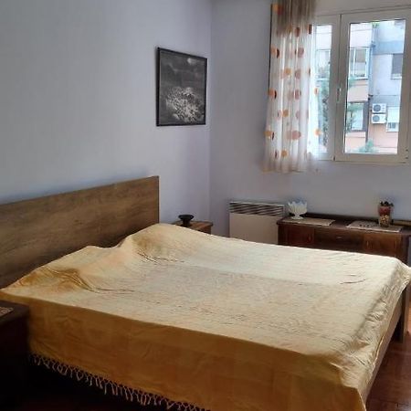 Apartment Z Podgorica Exterior photo
